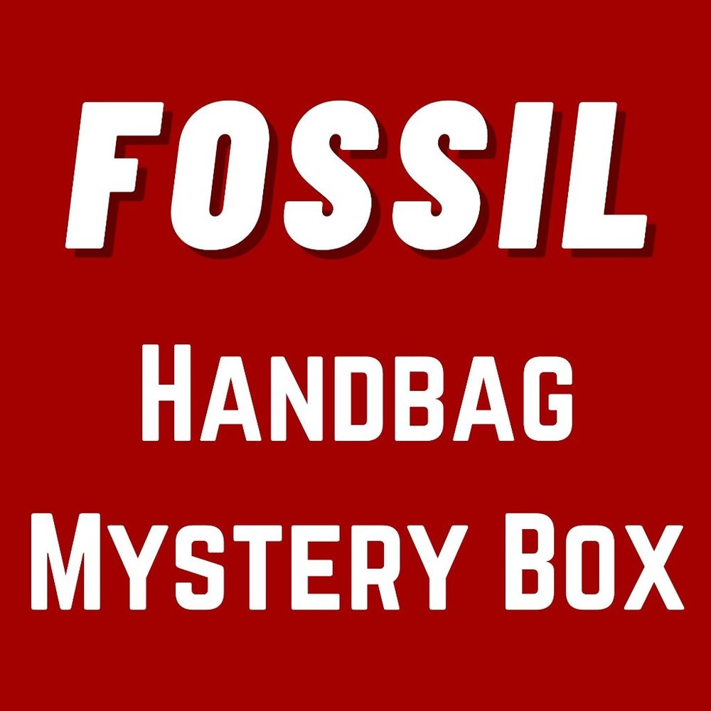 Fossil Mystery Handbag Rescue Box